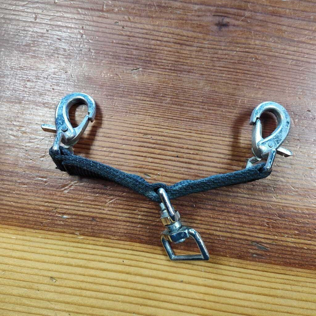 Bit lunging attachment