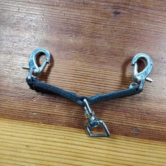 Bit lunging attachment