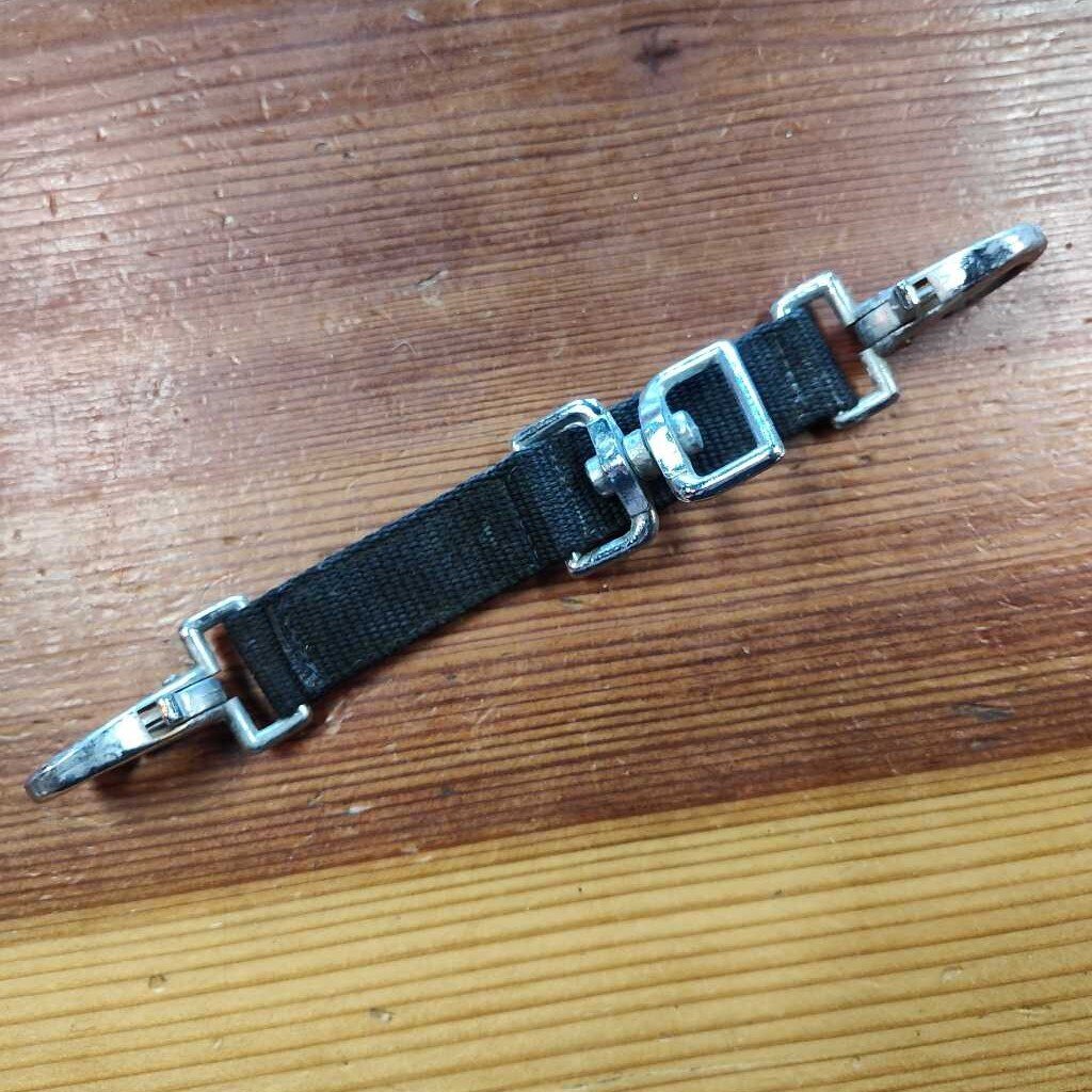 Bit lunging attachment