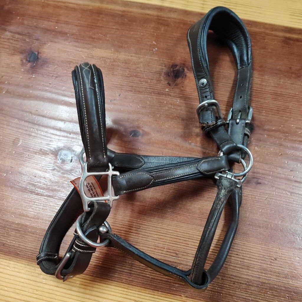 Padded- fancy stitch, damage to crown