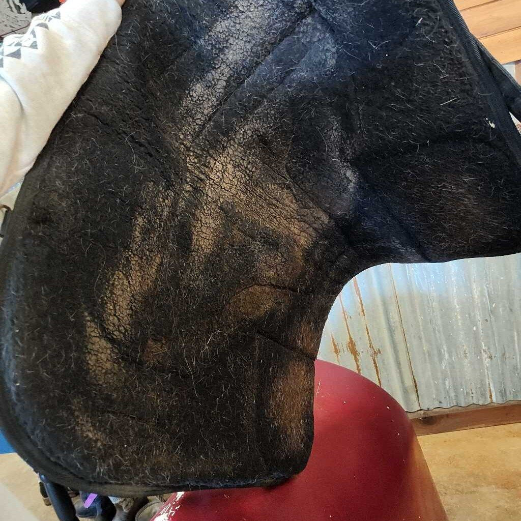 Trail bareback pad with pockets