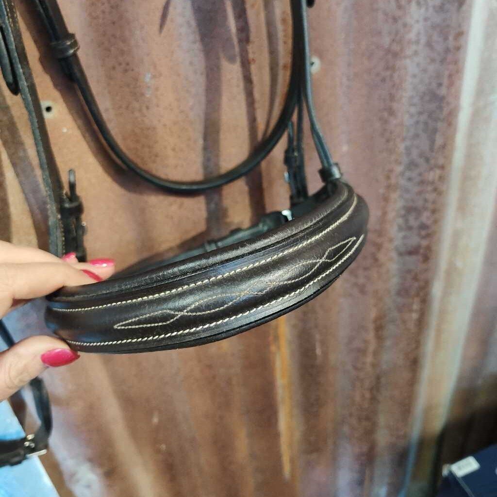 Bridle and reins- fancy stitch