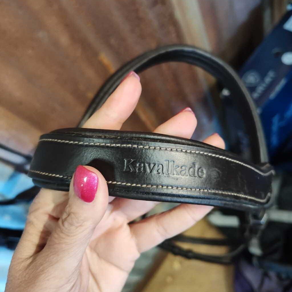 Bridle and reins- fancy stitch