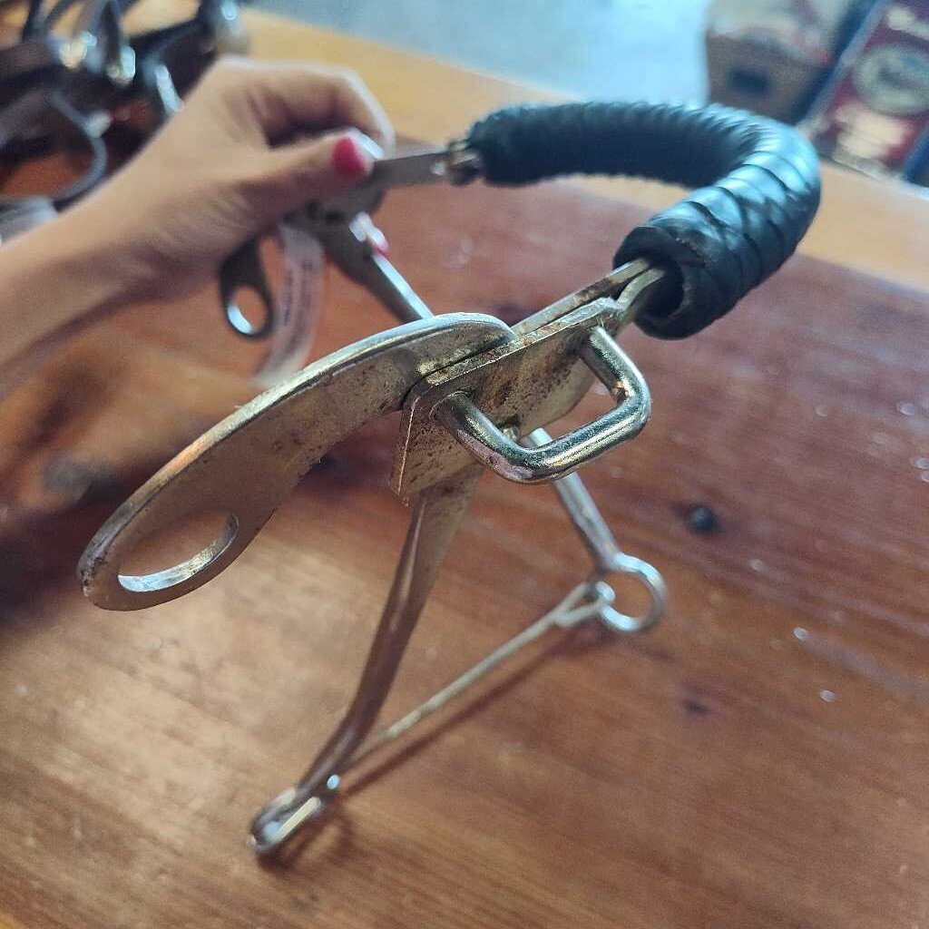 Long shank hackamore