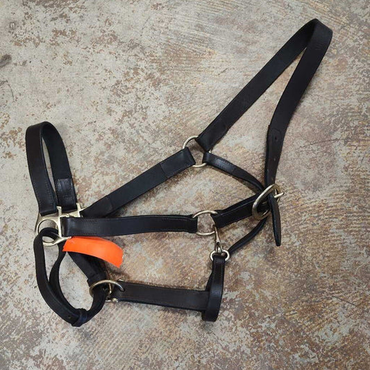 Flat leather halter