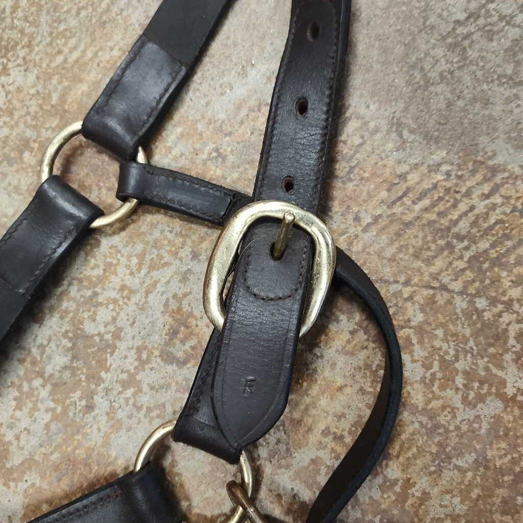 Flat leather halter