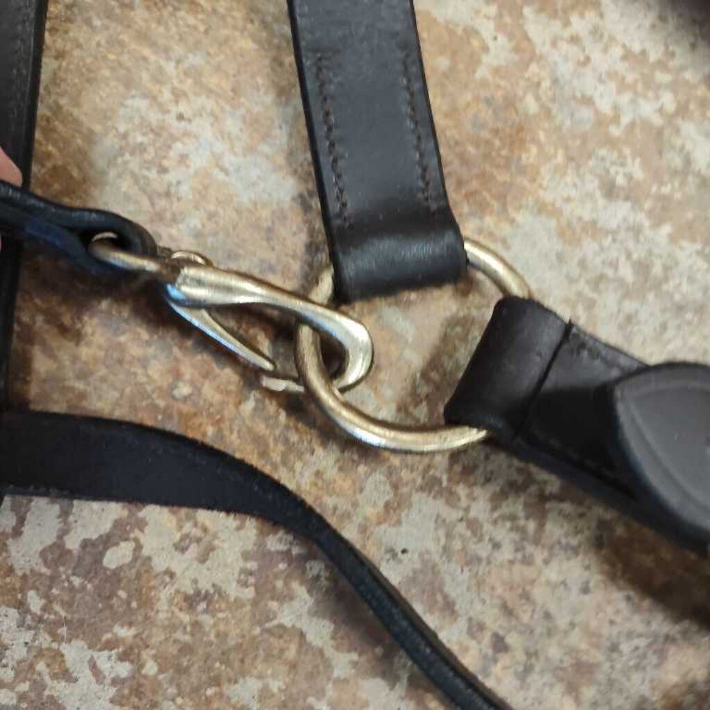 Flat leather halter