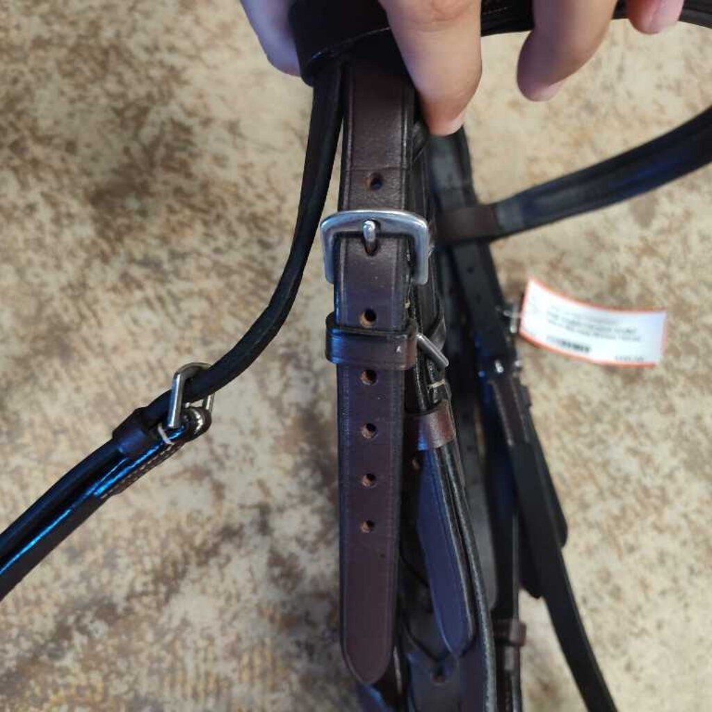 bridle/ reins-m like new