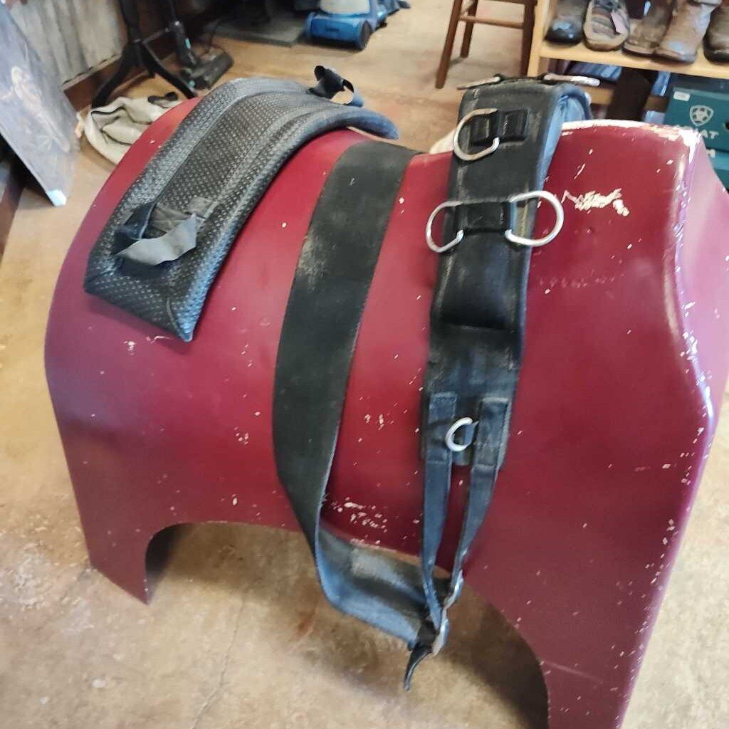nylon- horse size- surcingle