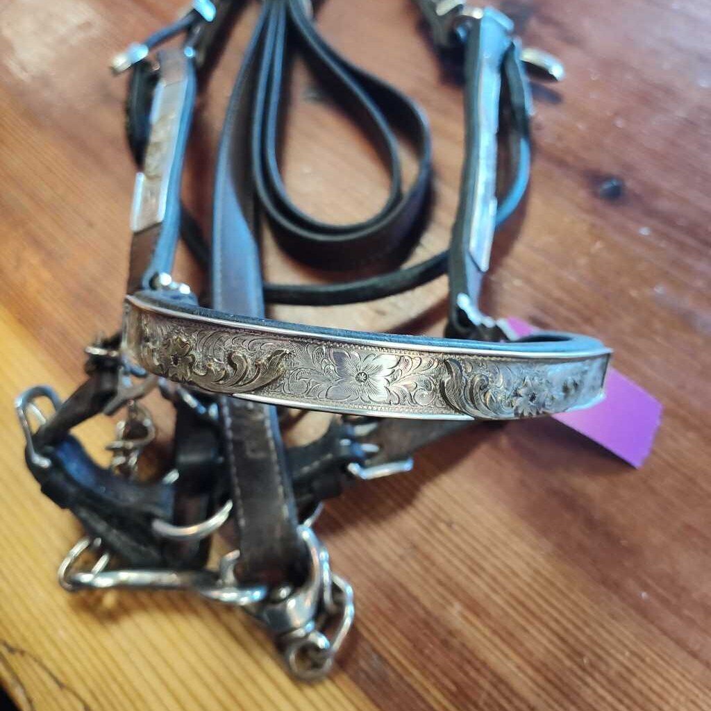 Show halter- rubies/ silver