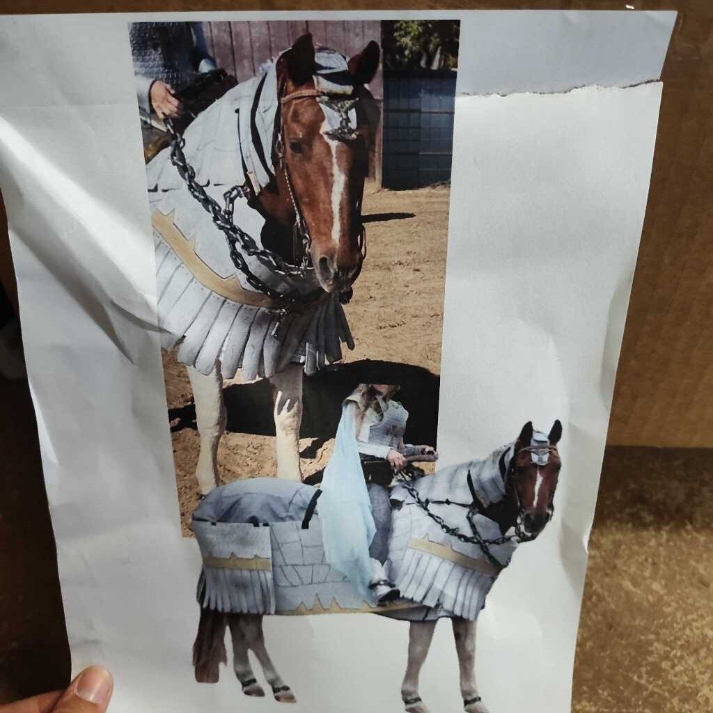 Horse costume!