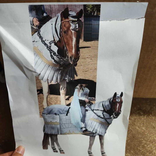 Horse costume!