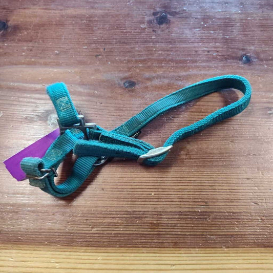 nylon goat halter