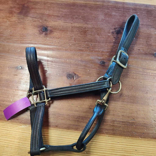 leather halter