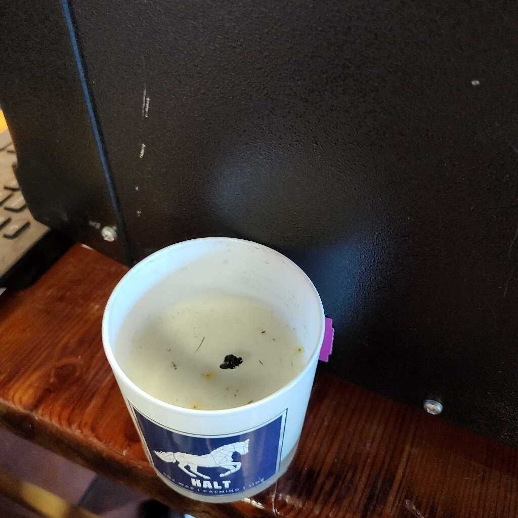 Candle