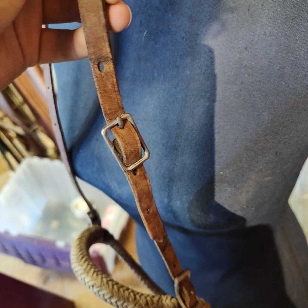 Bosal with hanger