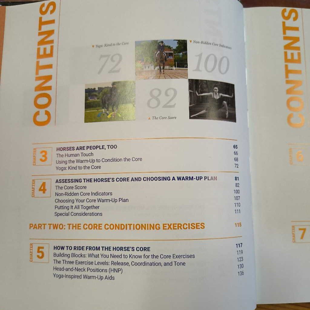 Core Conditioning for horses