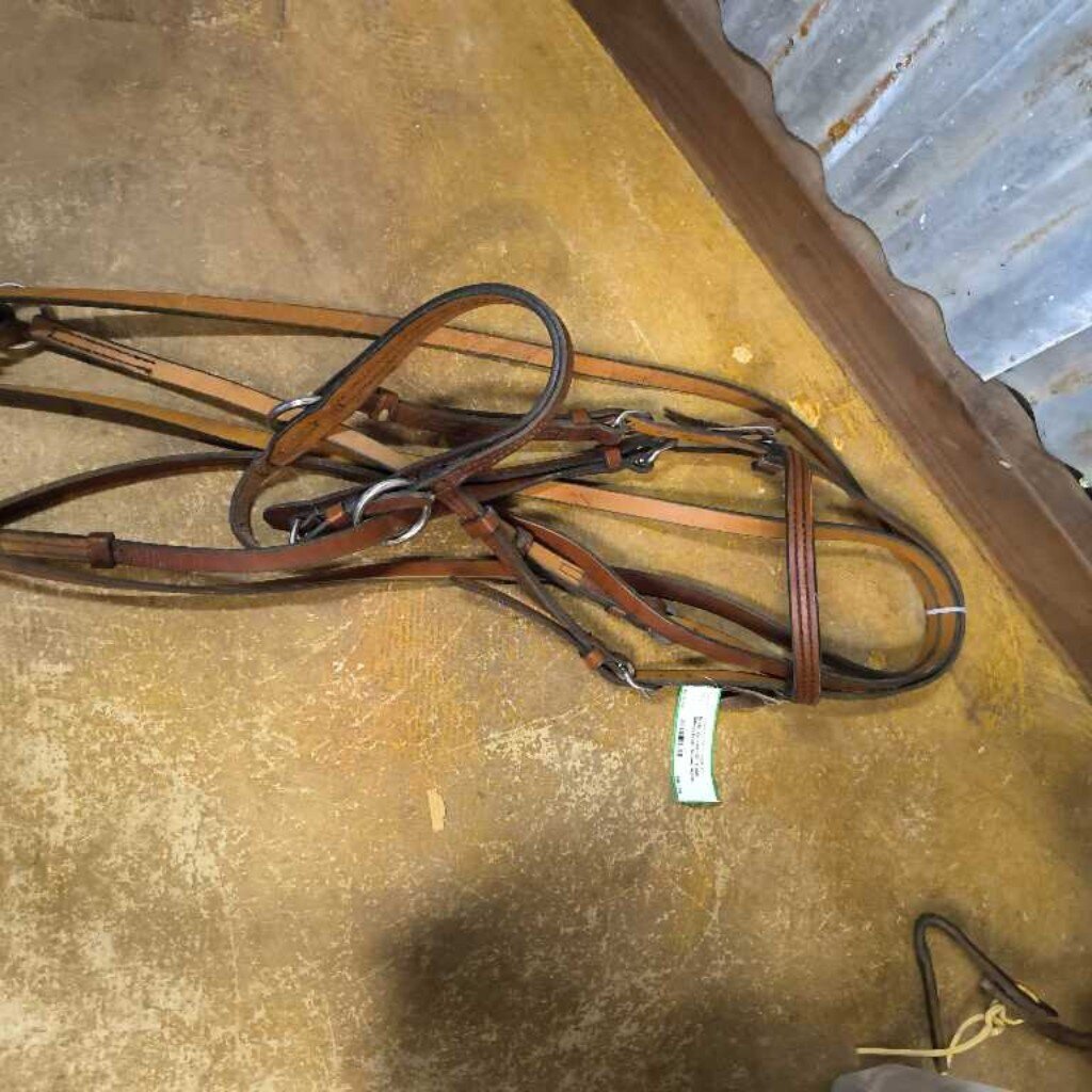 Bitless bridle