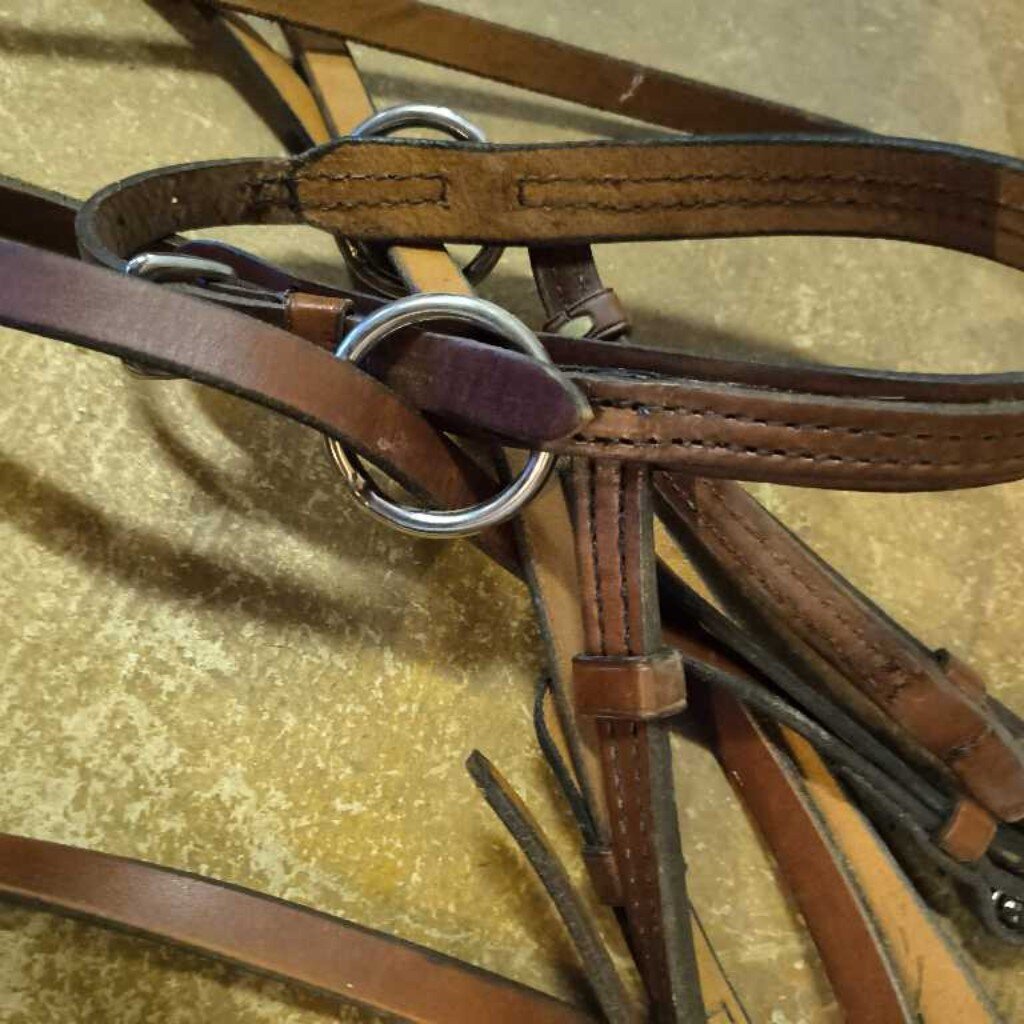 Bitless bridle
