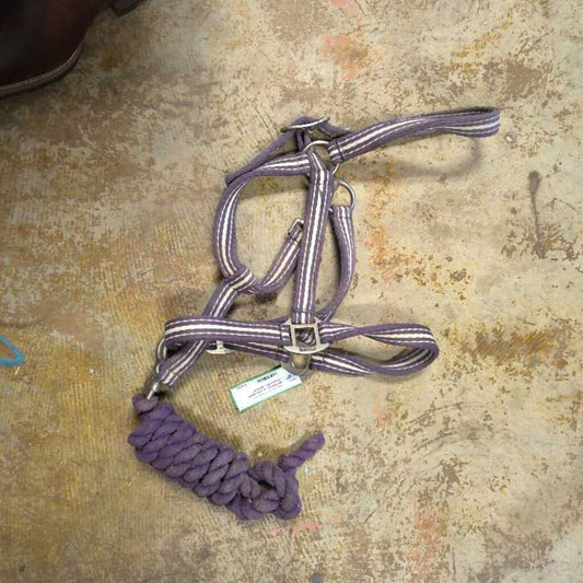 soft nylon/ cotton halter and lead
