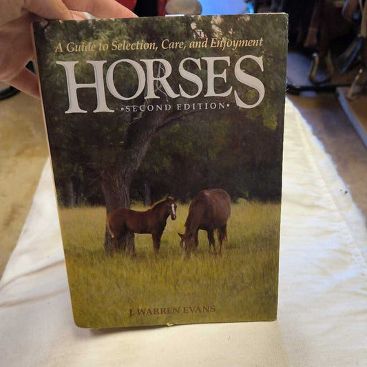 horses