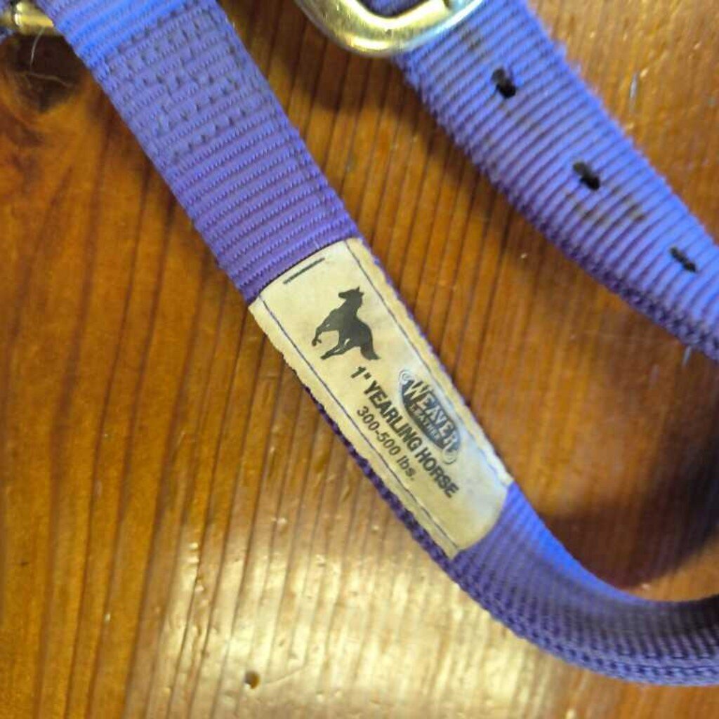 nylon halter