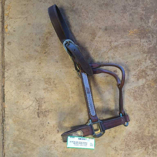 Show halter