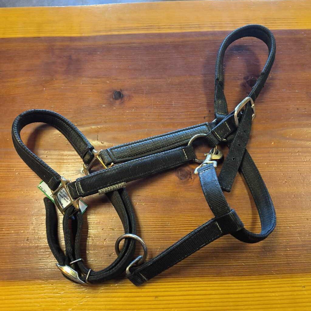 Padded nylon