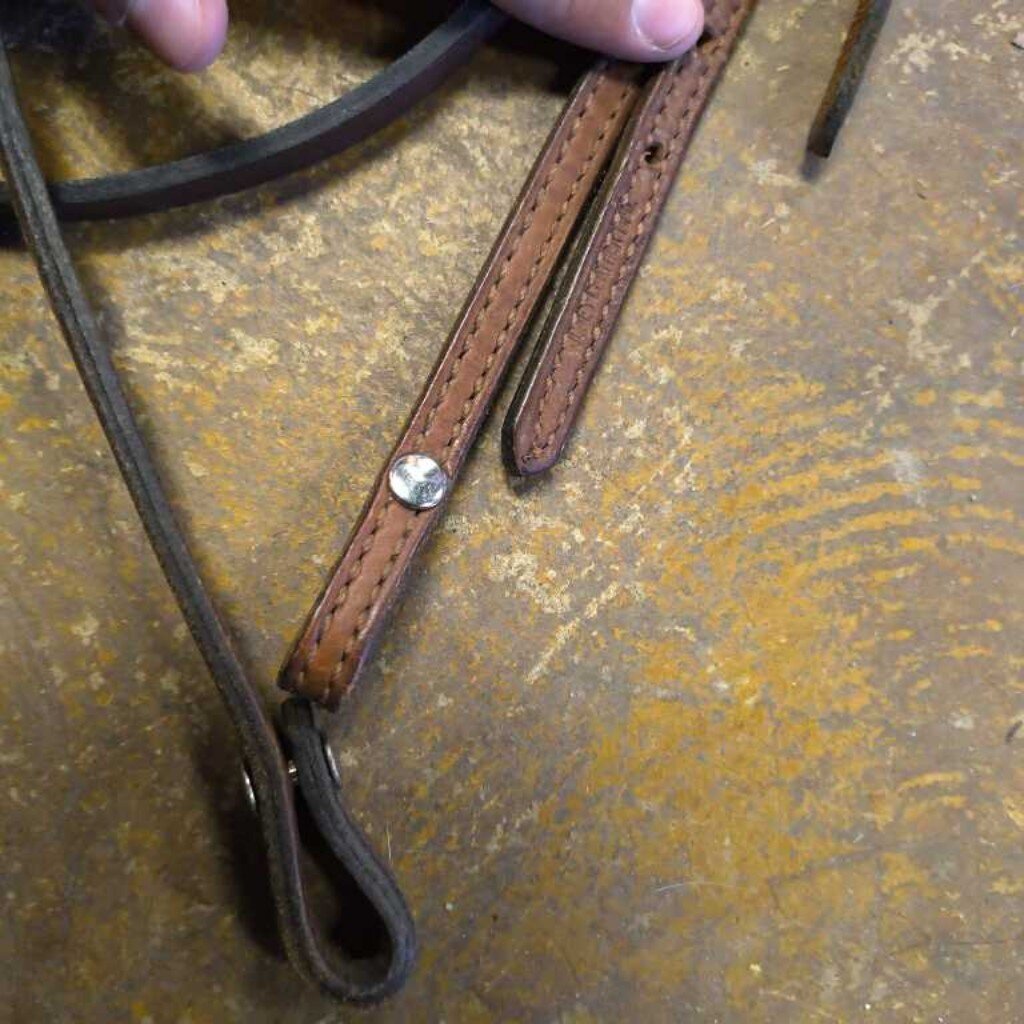 leather brow band bridle