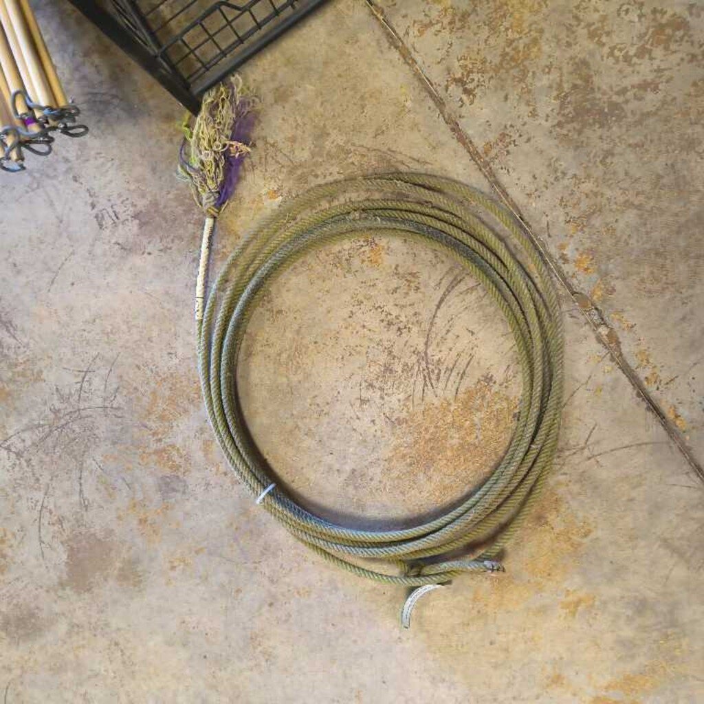 Cure HD 31' XS