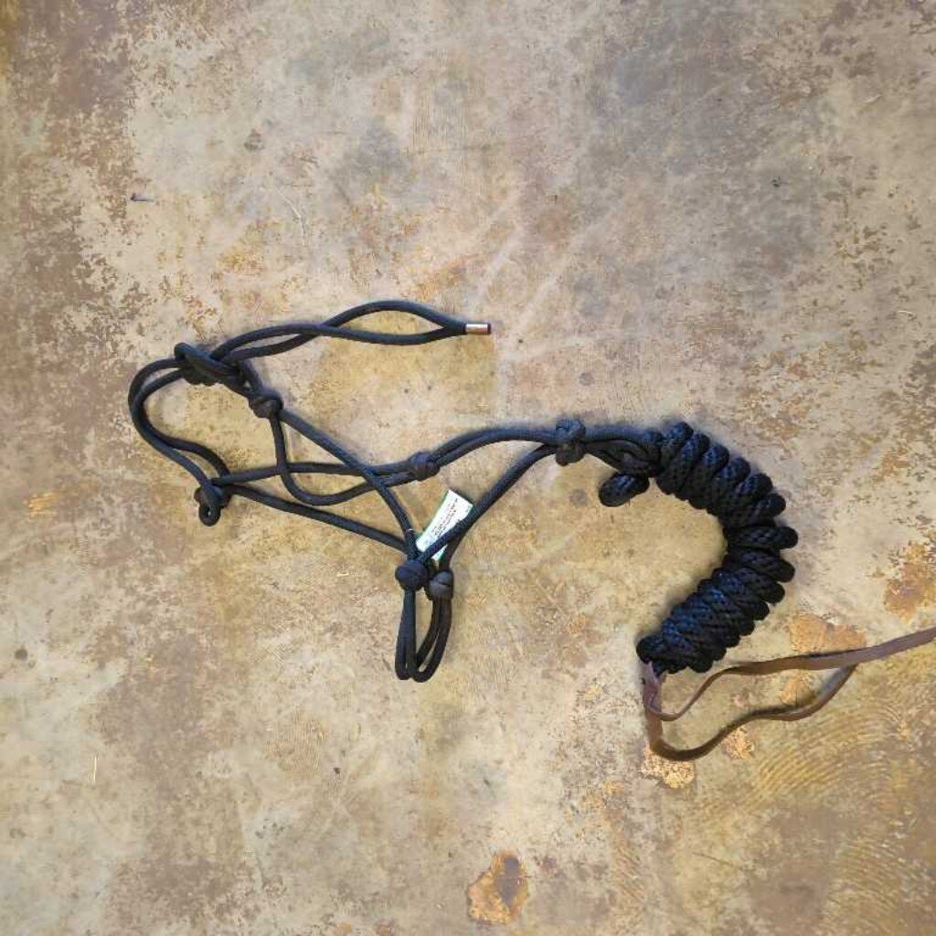 Rope halter and lead