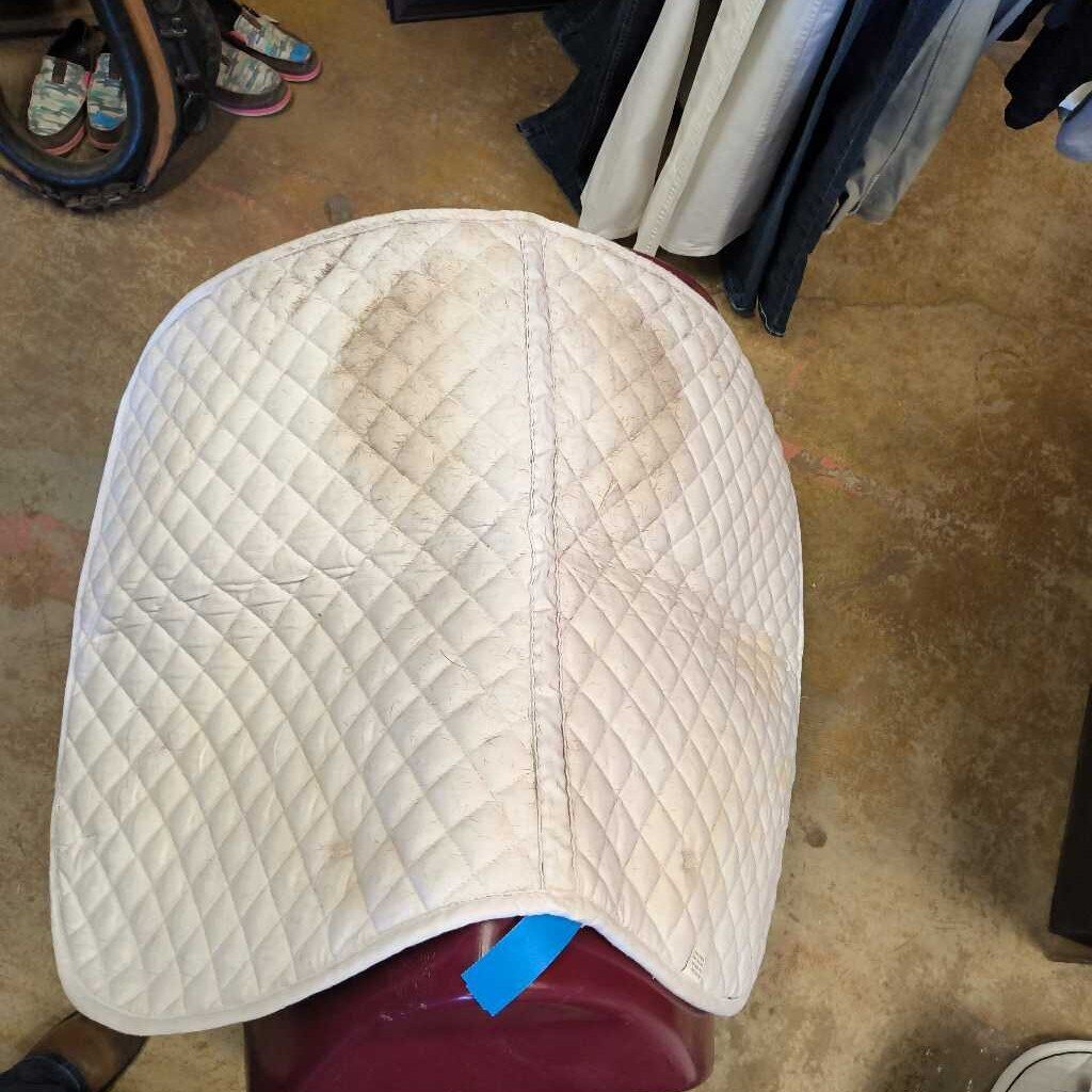 Quilted- used- Horses on back quarter