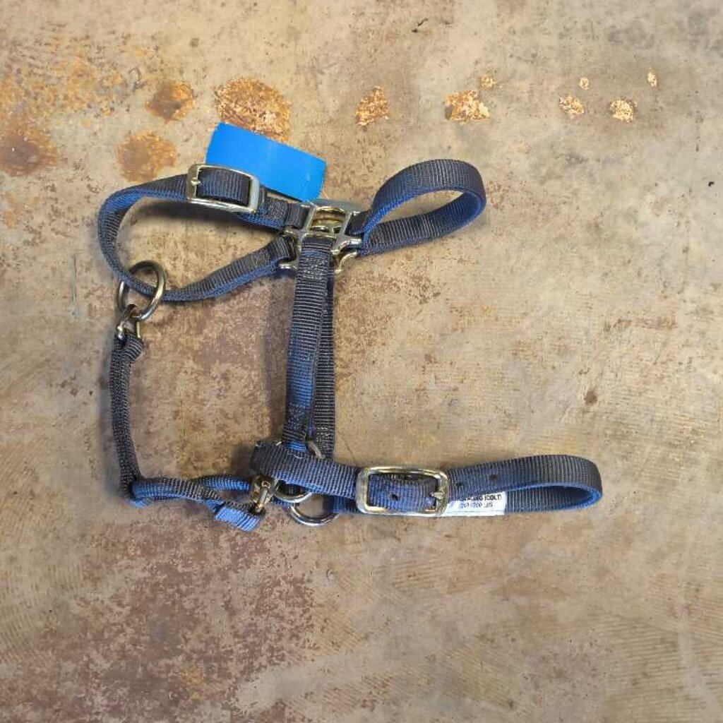 Nylon- Lightly used