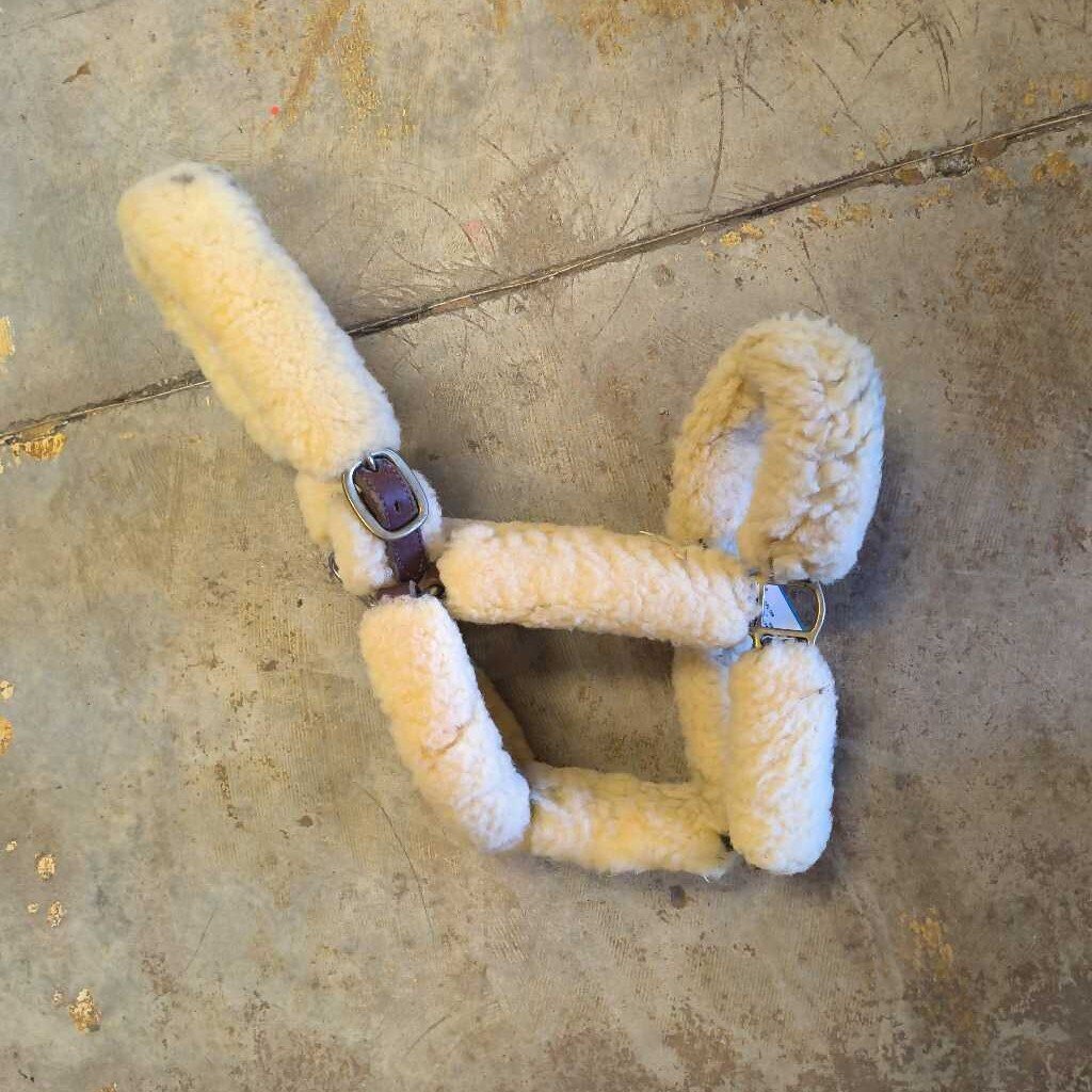 leather halter with fleece