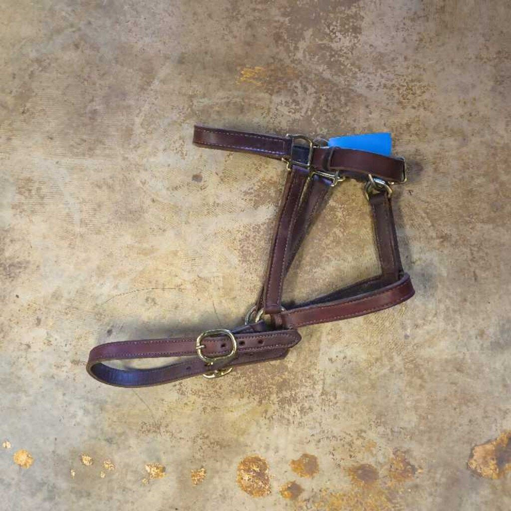 leather halter-soft