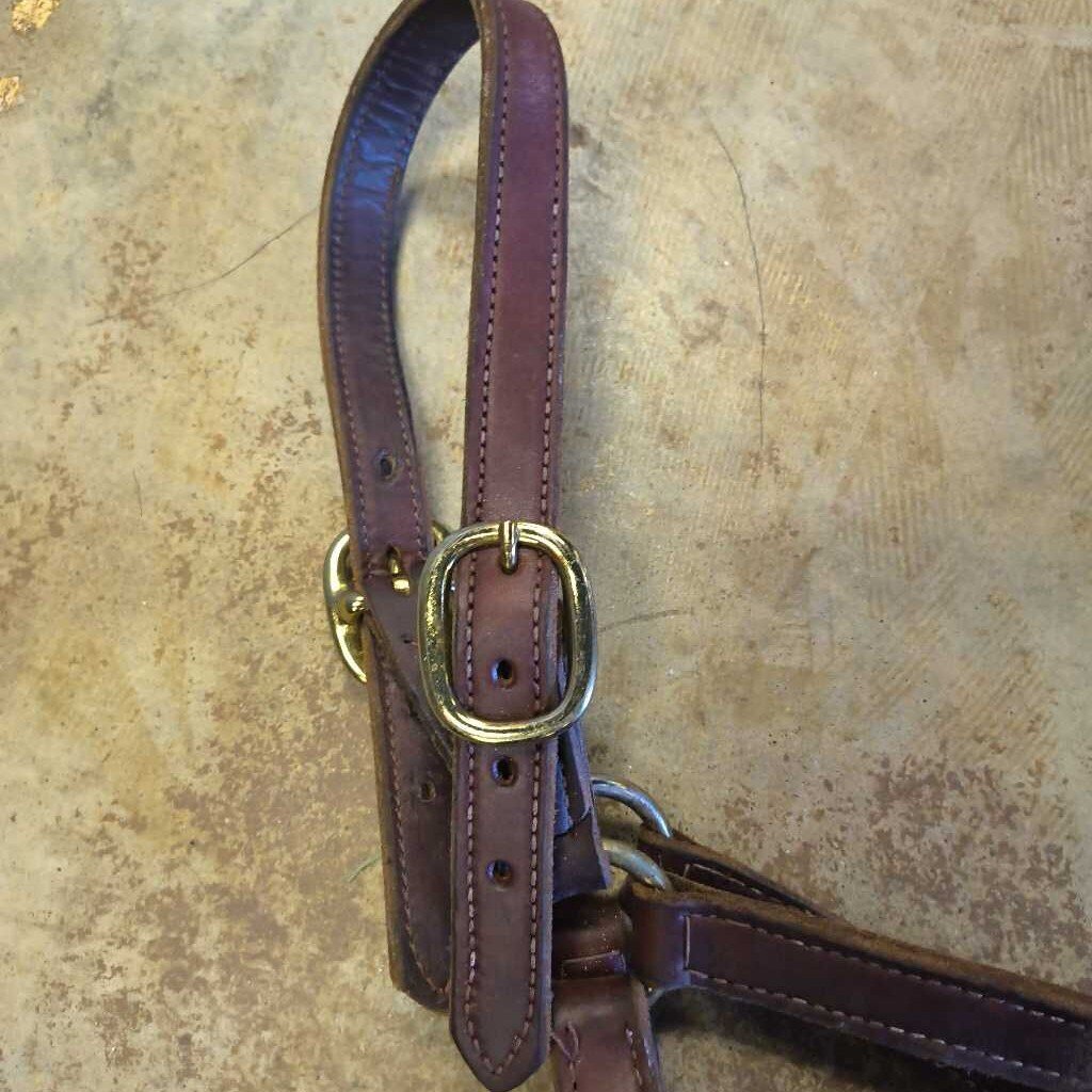 leather halter-soft