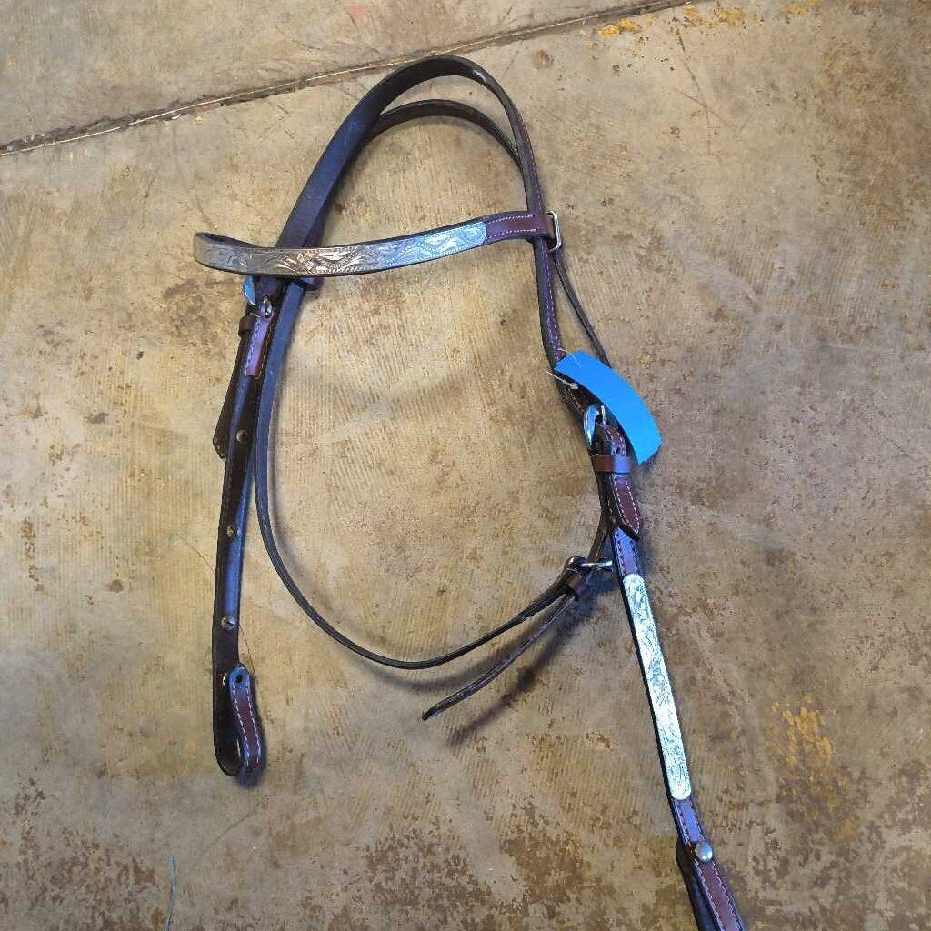 cute starter show bridle