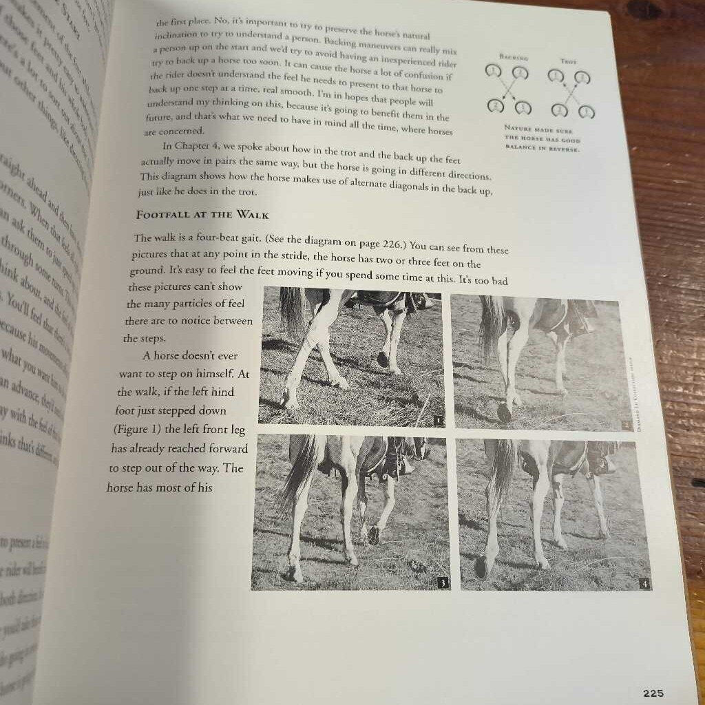 Trure Horsemanship Through Feel