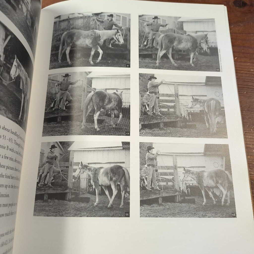 Trure Horsemanship Through Feel