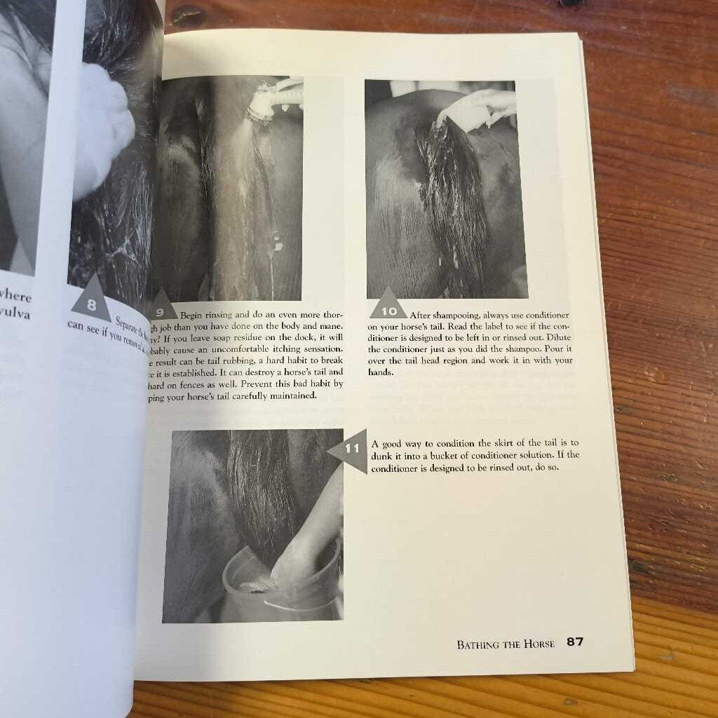 Horse handling and grooming