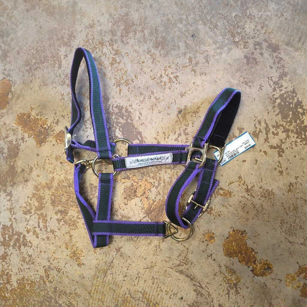 New- pony nylon halter