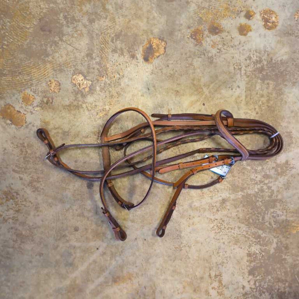 Raised fancy stitch bridle and reins