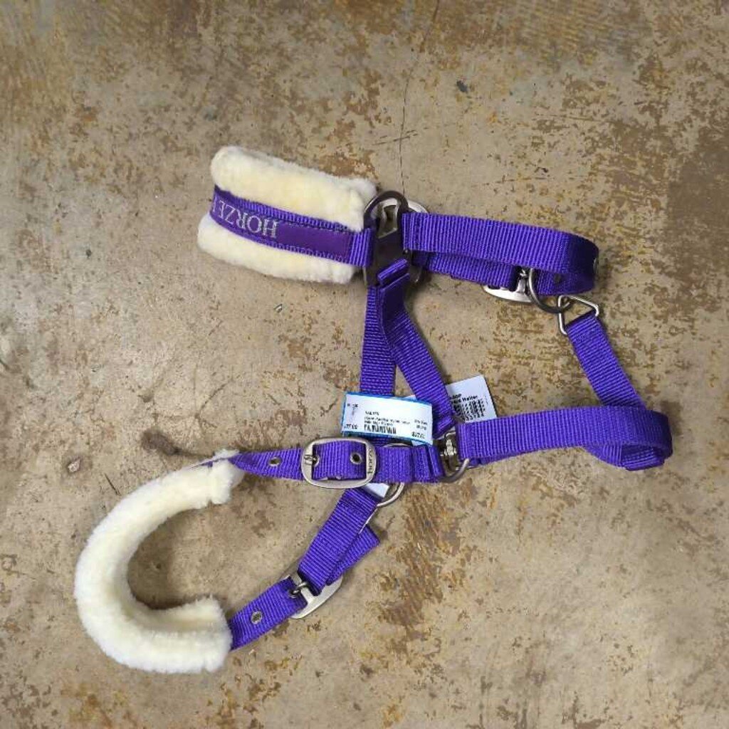 Padded nylon halter with tags
