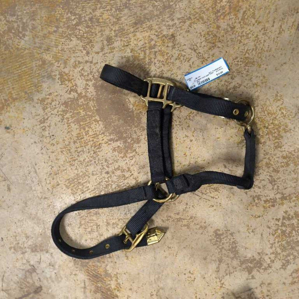 Used nylon halter