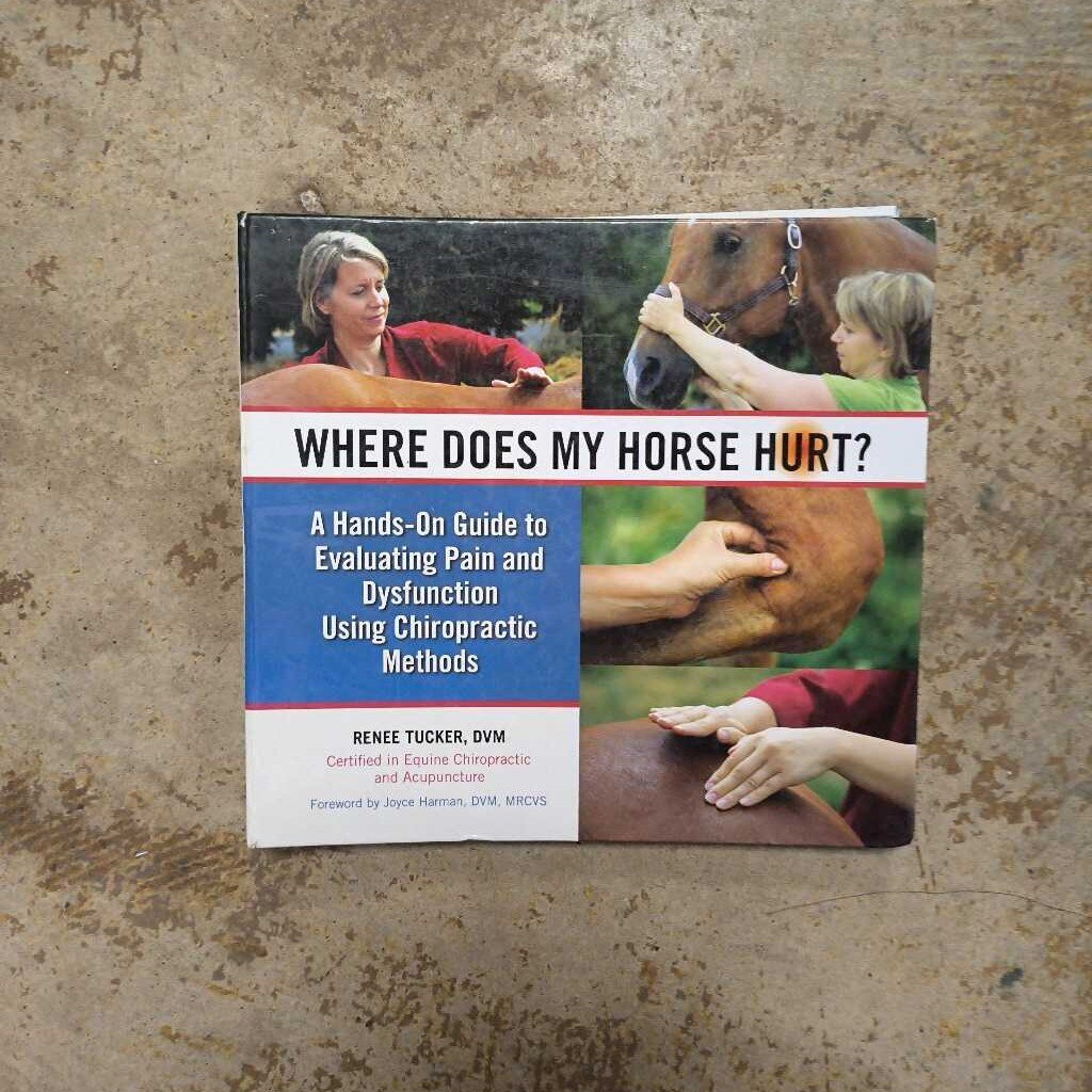 Where does my horse hurt