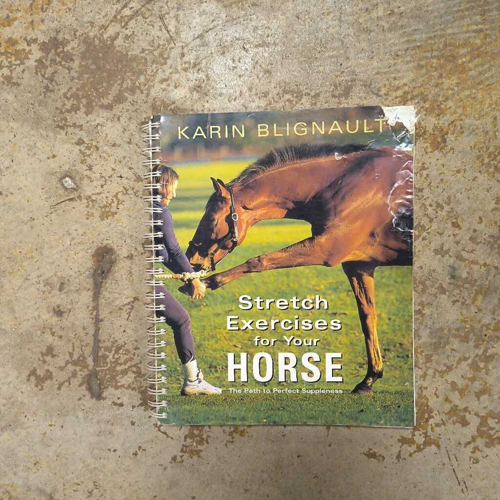 Stretch Exercises for your horse