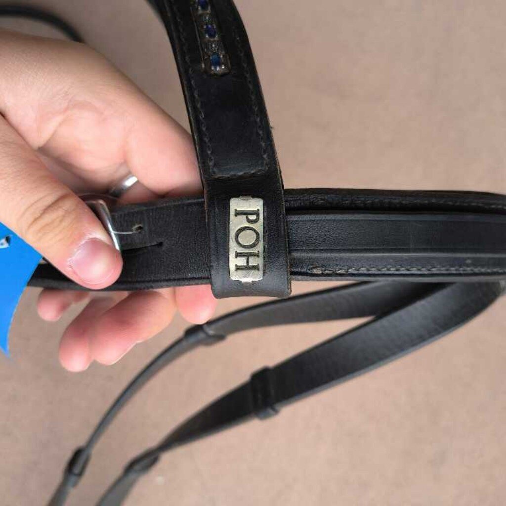 Padded and raised dressage bridle set