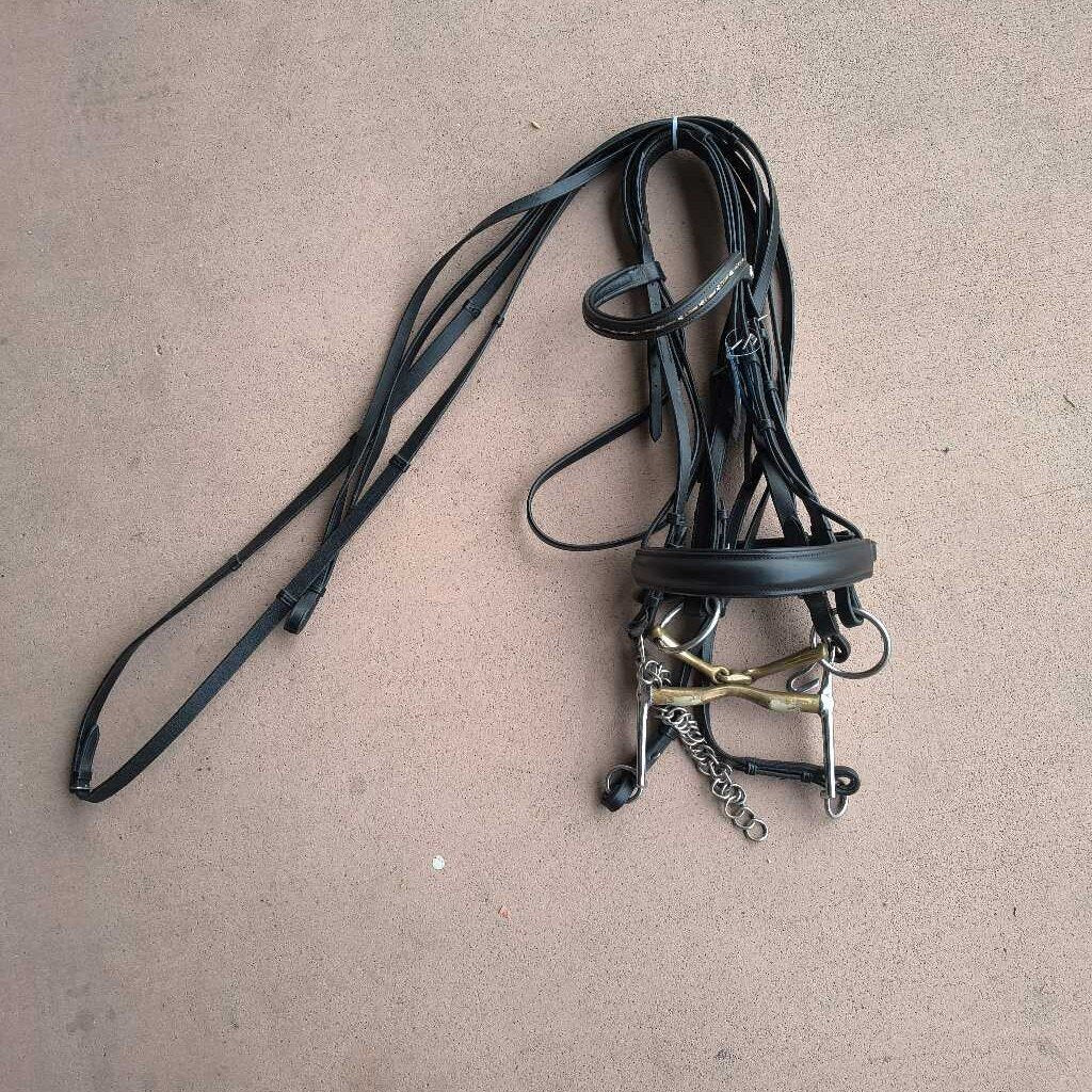 Padded and raised dressage bridle set
