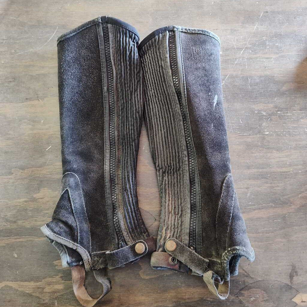 Schooling half chaps