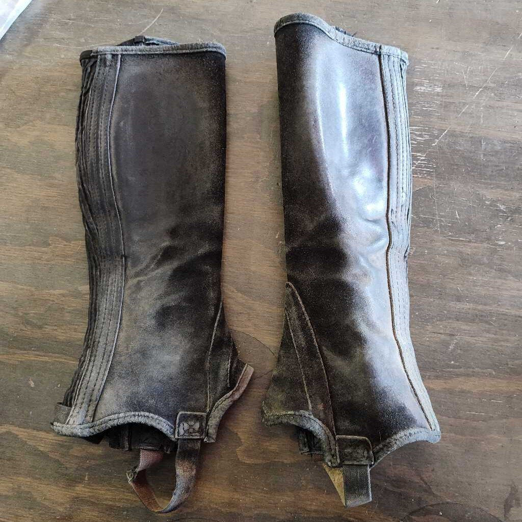 Schooling half chaps